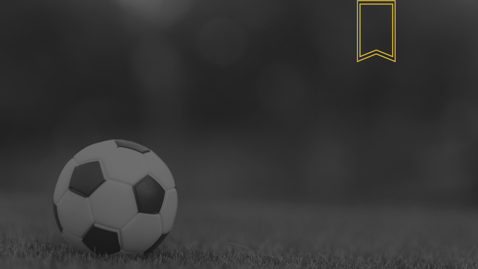 Assistenza ad una Società nella acquisizione dell’intero capitale sociale di una squadra di calcio che vantava risultati sportivi idonei all’iscrizione nel campionato Lega Serie B